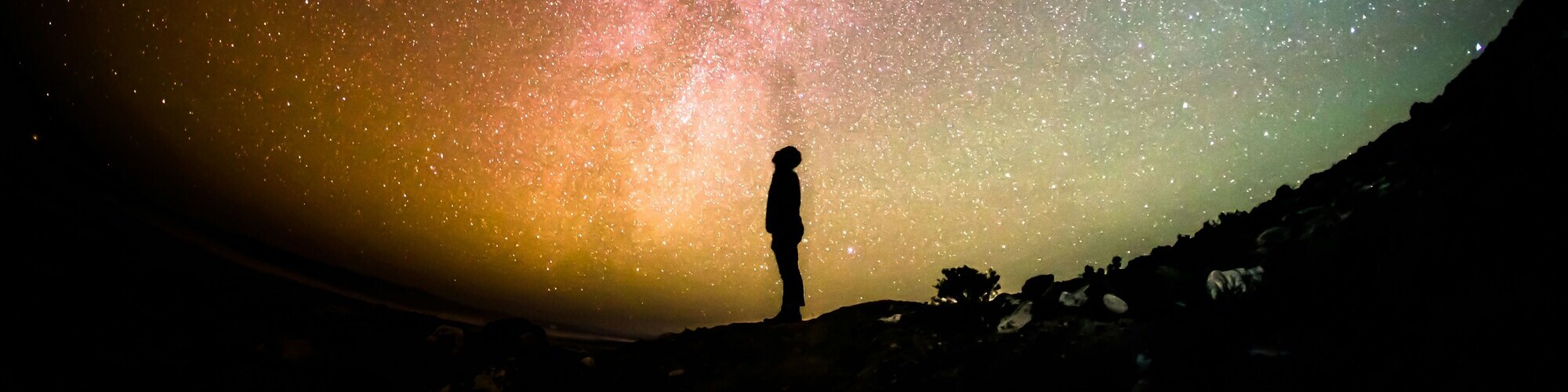Man looks at Galaxy